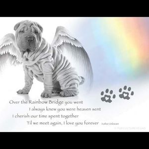 Meet your Posher, Lorri